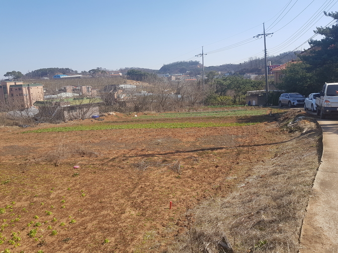 4월이면 야생 동물들이 산란기에 들어 가는데 어떻게 포획단을 구성 하는지?