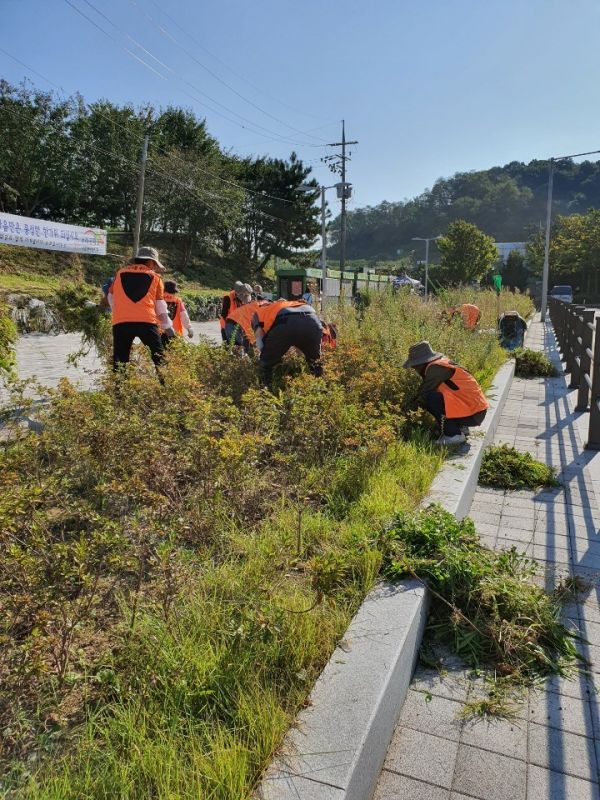 정왕4동 주민자치회 추석맞이 환경정화 시행