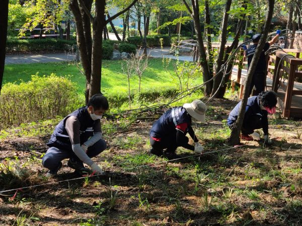 아파트 내에 식재된 맥문동을 분주(分株) 해 함송행복길에 심었다.