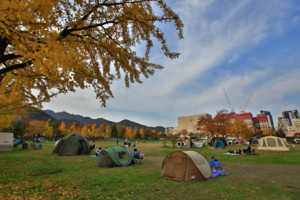 과천시, 정부과천청사 앞 잔디마당을 반려견 놀이공간으로 확보