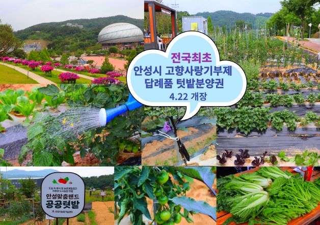 안성시, 전국 최초 고향사랑기부 답례품으로 공공텃밭 분양권 제공