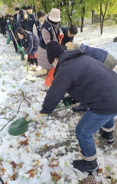 수원시 영통구 영통2동, 통장협의회와 합동 제설작업 실시