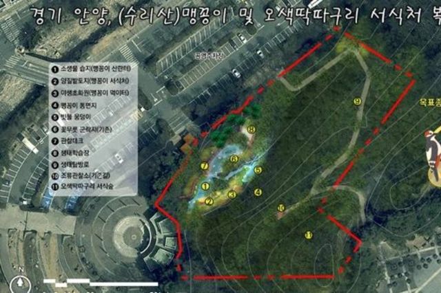 최대호 안양시장, 병목안시민공원 맹꽁이·오색딱따구리 서식처 복원…국비 4.4억 확보