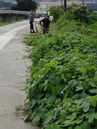 여주시 북내면 주민들, 자발적 참여로 ‘깨끗한 마을’ 가꿔